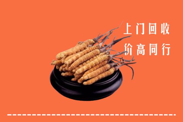高价求购：恩施宣恩回收散虫草