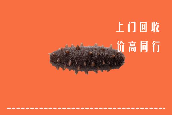 恩施宣恩回收海参