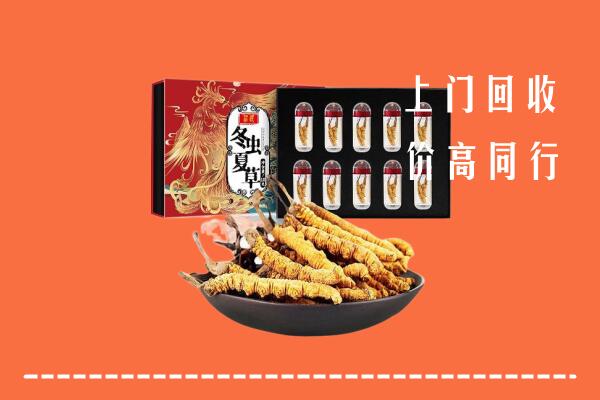 恩施宣恩回收虫草